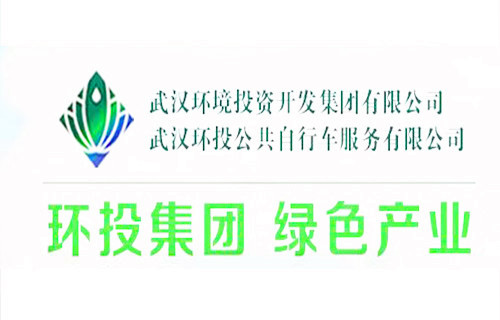 武汉环境投资开发集团